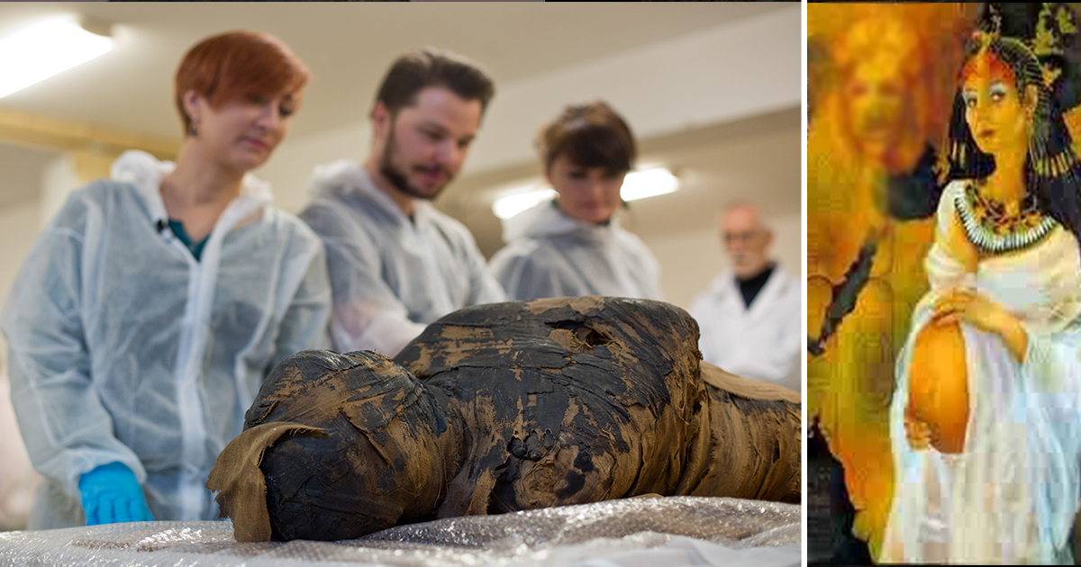 Archaeologists Discovered The First Ever Ancient Pregnant Mummy In Egypt Extraterrestrial Blog